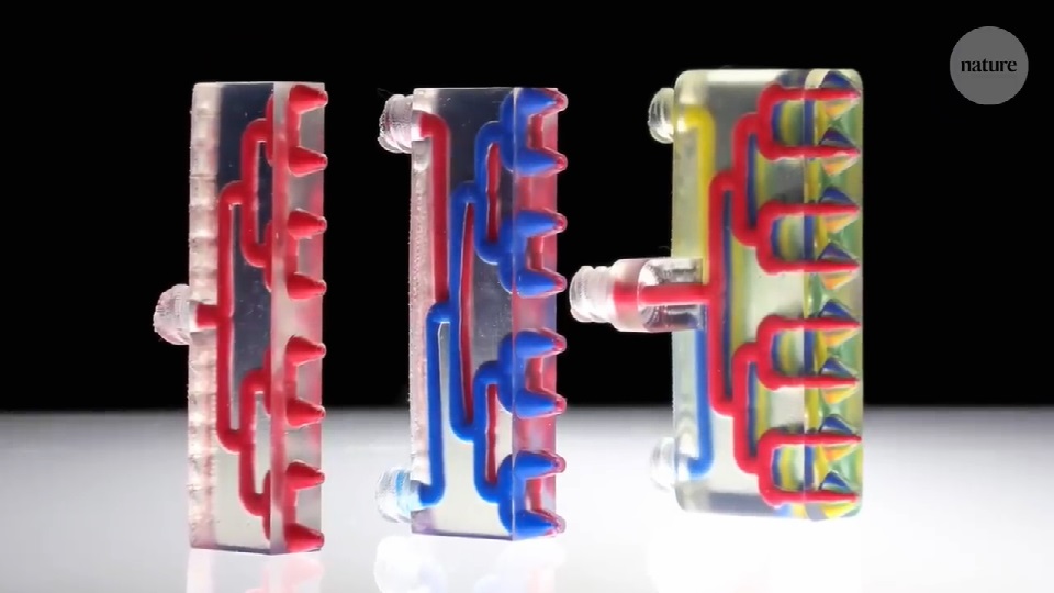 [视频] MM3D：多材料多喷嘴3D打印体素化软物质的设计和制造
